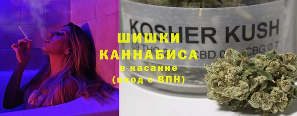 дурь Белокуриха