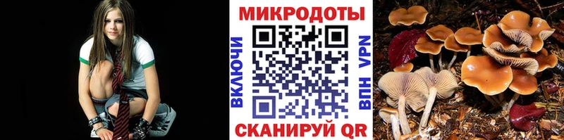 Галлюциногенные грибы Psilocybine cubensis  даркнет телеграм  Голицыно  даркнет сайт 