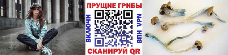 Псилоцибиновые грибы Magic Shrooms Голицыно